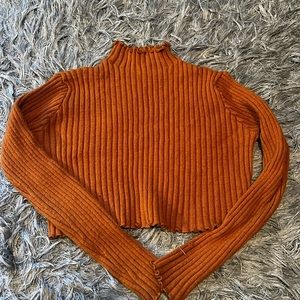 Cropped Turtleneck Sweater